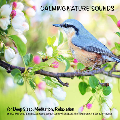 Audiobook Calming Nature Sounds (without music) for Deep Sleep, Meditation, Relaxation - Yella A. Deeken - Ian Brannan