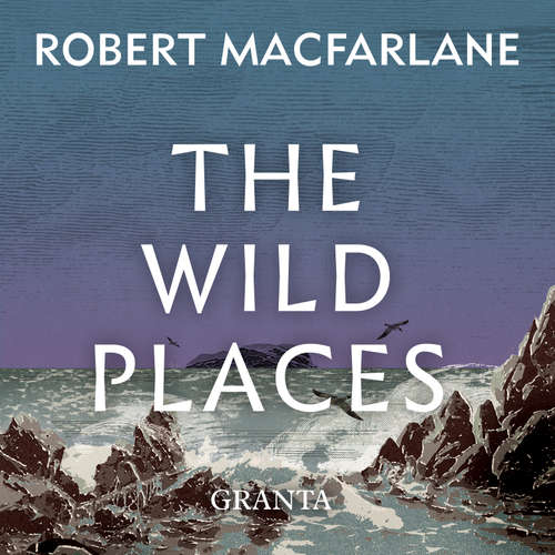 Audiobook The Wild Places - Robert Macfarlane - Simon Bubb