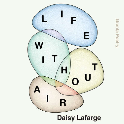Audiobook Life Without Air - Daisy Lafarge - Daisy Lafarge