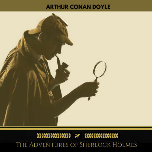 Audiobook The Adventures of Sherlock Holmes - Arthur Conan Doyle - Janet Paulson