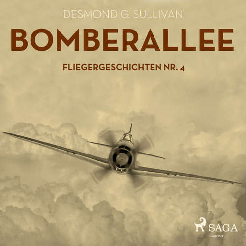 Hoerbuch Bomberallee - Desmond G. Sullivan - Robert Frank Hoerbuch Bomberallee - Desmond G. Sullivan - Robert Frank