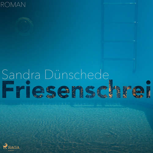 Hoerbuch Friesenschrei - Sandra Dünschede - Jürgen Wellbrock Hoerbuch Friesenschrei - Sandra Dünschede - Jürgen Wellbrock