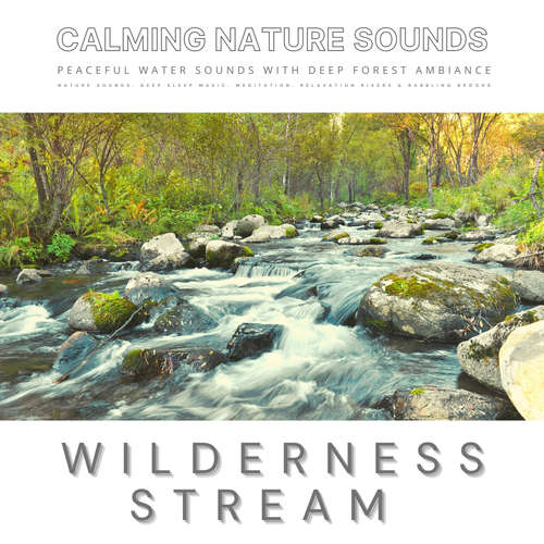 Audiobook Peaceful Water Sounds With Deep Forest Ambiance: Wilderness Stream & Babbling Brook - Dr. Laurence Goldman - Neil Tennant