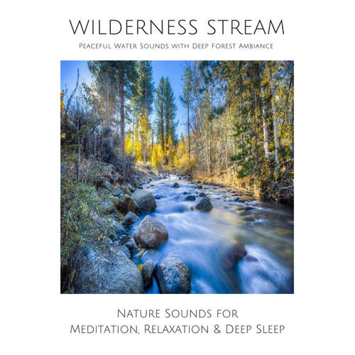 Audiobook Wilderness Stream (without music) - Peaceful Water Sounds with Deep Forest Ambience - Yella A. Deeken - Ian Brannan