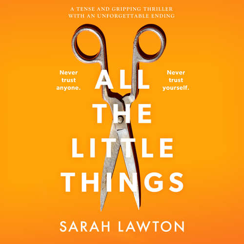 Audiobook All The Little Things - Sarah Lawton - Katie Villa