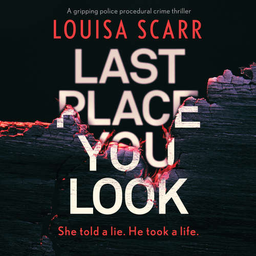 Audiobook Last Place You Look - Louisa Scarr - David Wayman