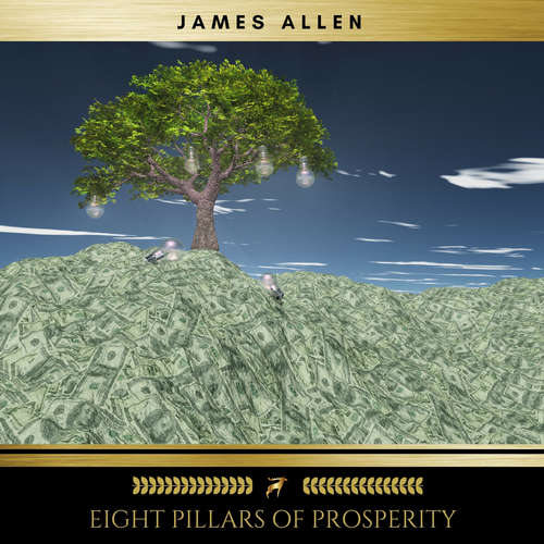 Audiobook Eight Pillars of Prosperity - Chelsea Murphy - Brian Kelly