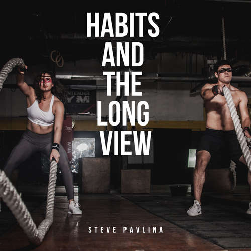 Audiobook Habits and the Long View - Steve Pavlina - Florian Höper