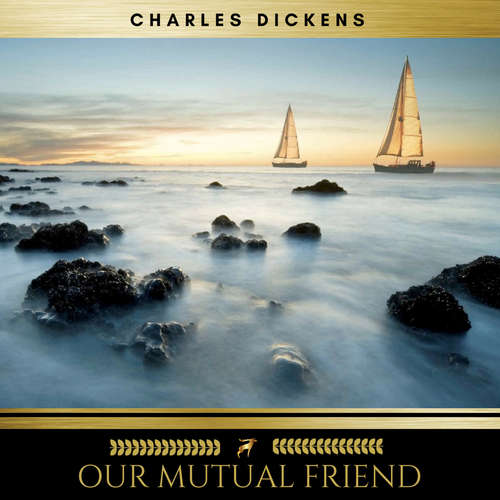 Audiobook Our Mutual Friend - Charles Dickens - Stacy Newman