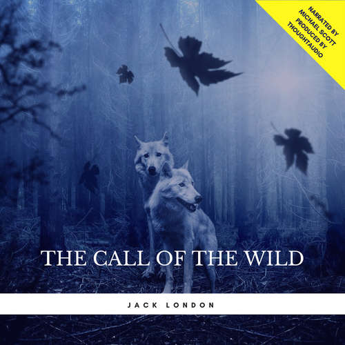 Audiobook The Call of the Wild - Jack London - Michael Scott