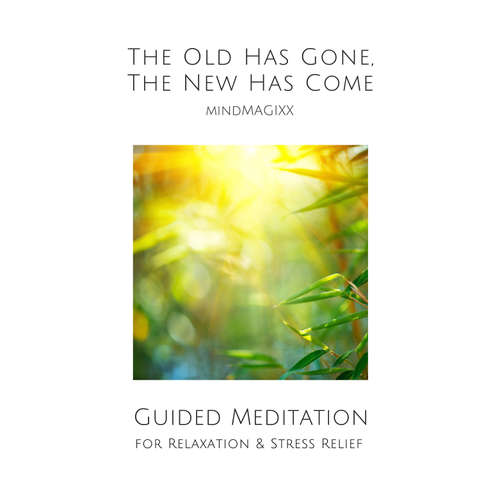 Audiobook Guided Meditation for Relaxation & Stress Relief - Patrick Lynen - Tony Scott