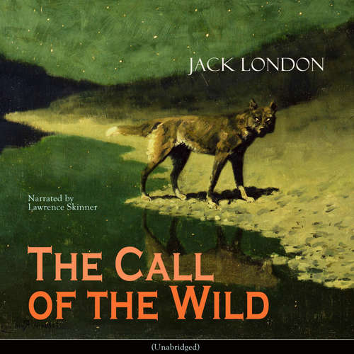 Audiobook The Call of the Wild - Jack London - Lawrence Skinner