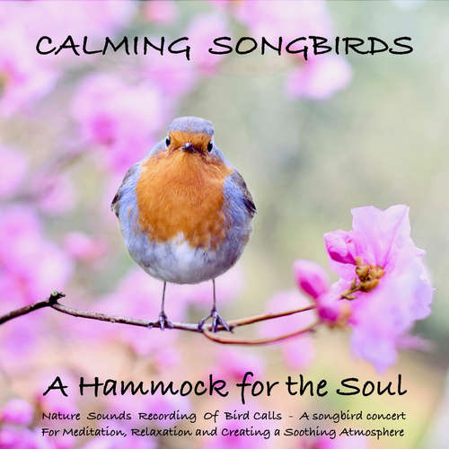 Audiobook Calming Songbirds: Nature Sounds Recording Of Bird Calls - A songbird concert for Meditation, Relaxation and Creating a Soothing Atmosphere - Yella A. Deeken - Ian Brannan