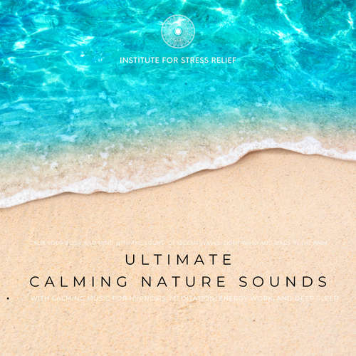Audiobook Ultimate Calming Nature Sounds With Calming Music For Hypnosis, Meditation, Energy Work, Deep Sleep - Jordan Fayette - Raymond Foster