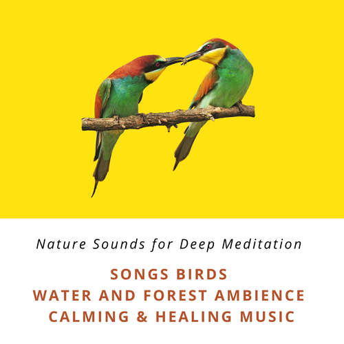 Audiobook Nature Sounds for Deep Meditation: Song Birds, Water & Forest Ambience, Bird Calls, Calming & Healing Music - Jona Teichmann - Samuel Smith