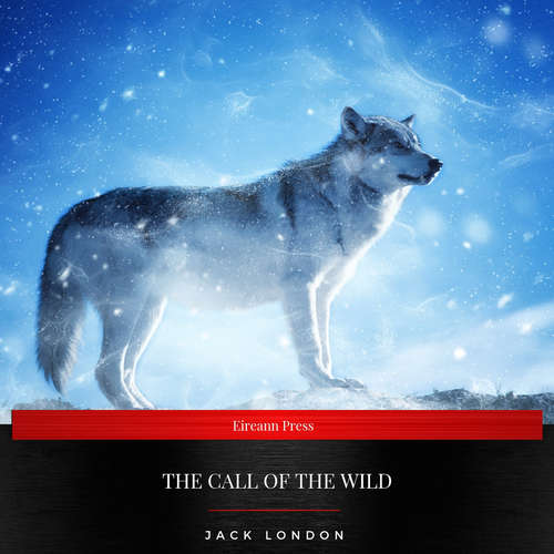 Audiobook The Call of the Wild - Jack London - Daniel Duffy