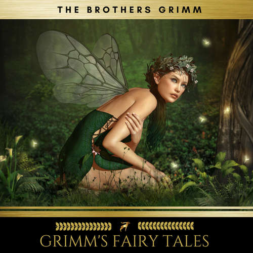 Audiobook Grimm's Fairy Tales - Jacob Grimm - Brian Kelly