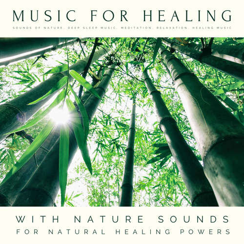 Audiobook Music For Healing: With Nature Sounds For Natural Healing Powers - Music For Healing - Ryan Spencer