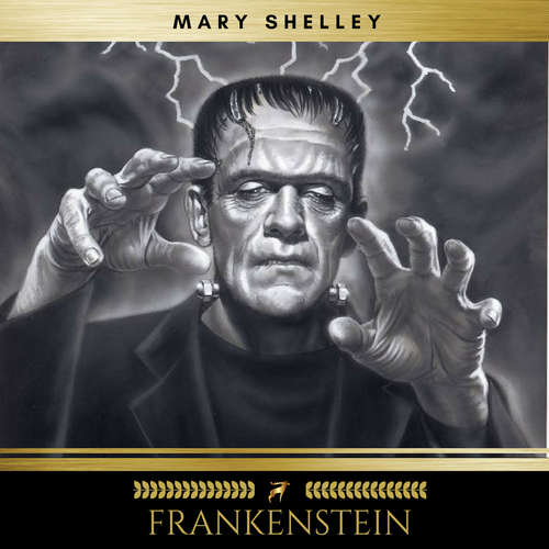 Audiobook Frankenstein - Mary Shelley - Erica Collins