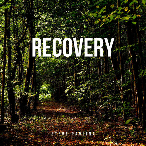 Audiobook Recovery - Steve Pavlina - Florian Höper