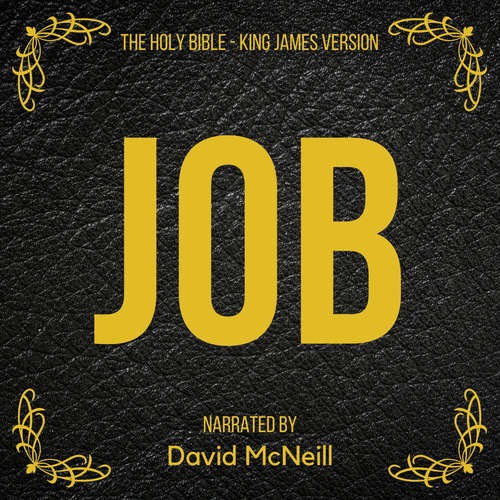 Audiobook The Holy Bible - Job - King James - David McNeill