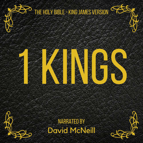 Audiobook The Holy Bible - 1 Kings - King James - David McNeill