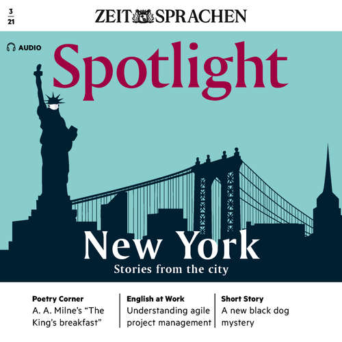 Audiobook Englisch lernen Audio - Geschichten aus New York - Owen Connors -