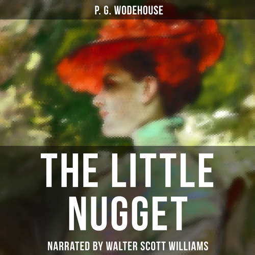 Audiobook The Little Nugget - P. G. Wodehouse - Walter Scott Williams