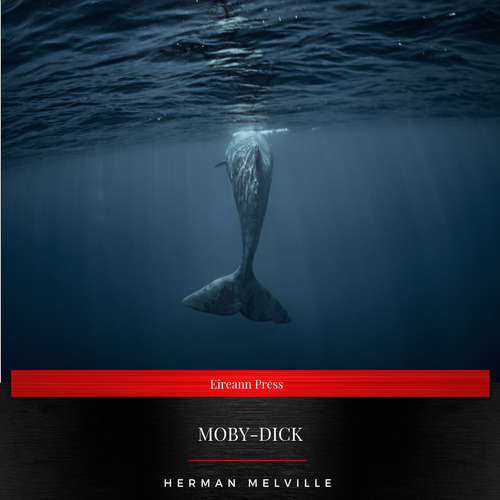 Audiobook Moby-Dick - Herman Melville - Daniel Duffy