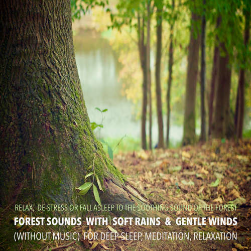 Audiobook Forest Sounds with Soft Rains & Gentle Winds (without music) for Deep Sleep, Meditation, Relaxation - Yella A. Deeken - Ian Brannan