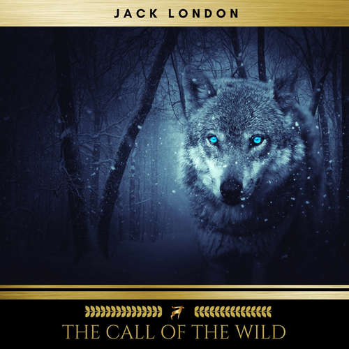 Audiobook The Call of the Wild - Jack London - Brian Kelly