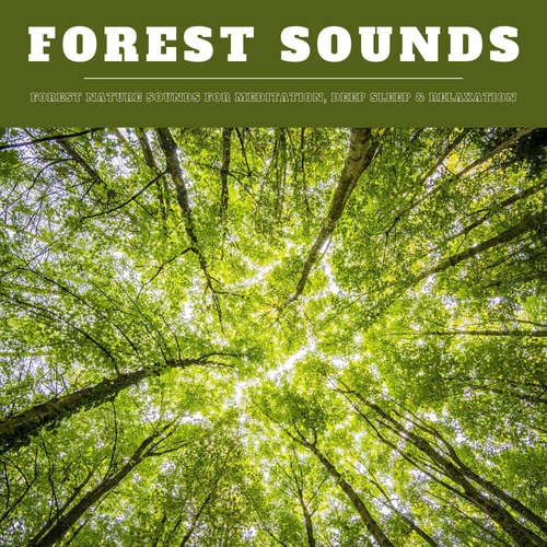 Audiobook Forest Sounds: Forest Nature Sounds for Meditation, Deep Sleep & Relaxation (XXL Bundle) - Nature Sounds Therapy - Nature Sounds Therapy