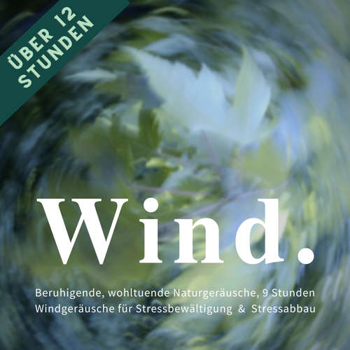 Hoerbuch Wind & Windgeräusche: Beruhigende, wohltuende Naturgeräusche für Stressreduktion, Stressvermeidung & Stressabbau - Privates Archiv für Naturgeräusche - Privates Archiv für Naturgeräusche