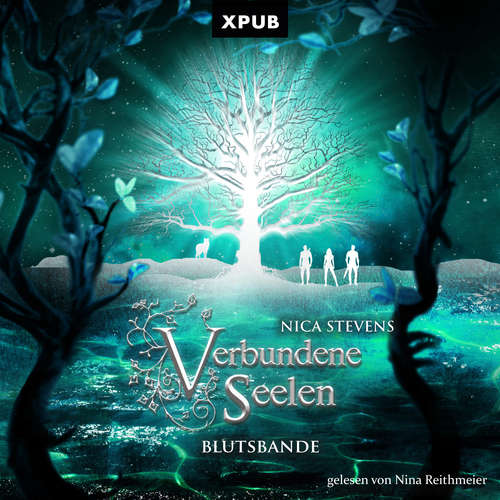 Hoerbuch Verbundene Seelen- Teil 2 - Nica Stevens - Nina Reithmeier