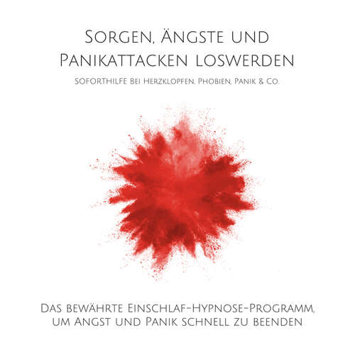 Hoerbuch Sorgen, Ängste und Panikattacken loswerden: Soforthilfe bei Herzklopfen, Phobien, Panik & Co. - Patrick Lynen - Patrick Lynen