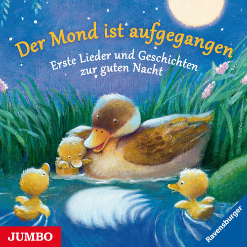 Hoerbuch Der Mond ist aufgegangen. Erste Lieder und Geschichten zur guten Nacht - Anonymus - Katrin Gerken