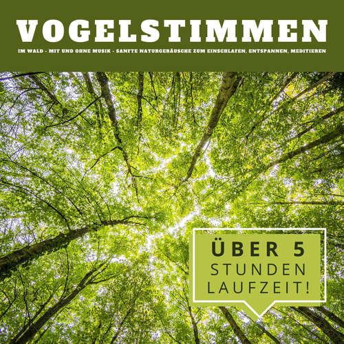 Hoerbuch Vogelstimmen im Wald: Sanfte Naturgeräusche zum Einschlafen, Entspannen, Meditieren - Naturgeräusche Archiv Potsdam - Naturgeräusche Archiv Potsdam