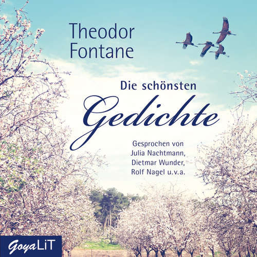 Hoerbuch Theodor Fontane. Die schönsten Gedichte - Theodor Fontane - Juli Nachtmann
