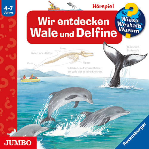 Hoerbuch Wir entdecken Wale und Delfine [Wieso? Weshalb? Warum? Folge 41] - Doris Rübel - Robert Missler