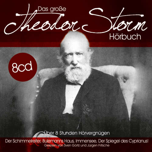 Hoerbuch Das große Theodor Storm Hörbuch - Theodor Storm - Jürgen Fritsche