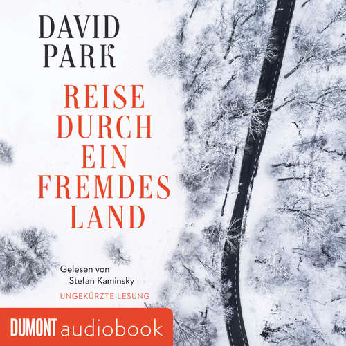 Hoerbuch Reise durch ein fremdes Land - David Park - Stefan Kaminsky