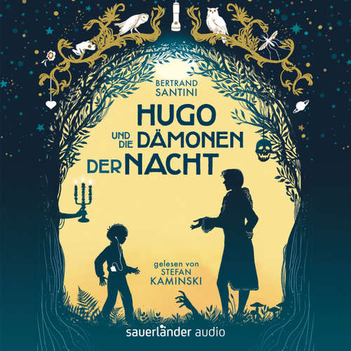 Hugo und die Dämonen der Nacht