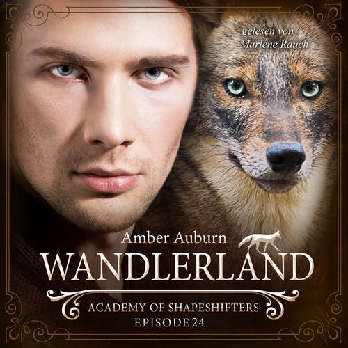 Hoerbuch Wandlerland, Episode 24 - Fantasy-Serie - Amber Auburn - Marlene Rauch