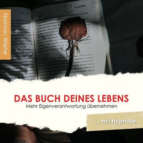 Hoerbuch Das Buch Deines Lebens - Norman Wiehe - Norman Wiehe