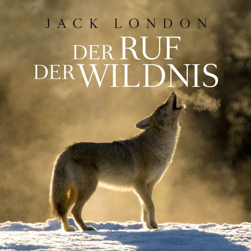 Hoerbuch Der Ruf der Wildnis - Jack London - Matthias Ernst Holzmann