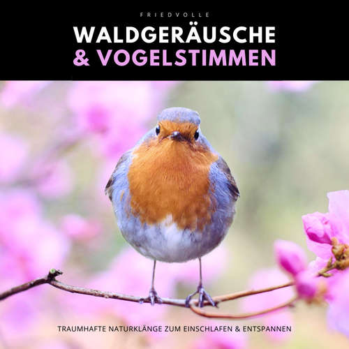 Hoerbuch Friedvolle Waldgeräusche & Vogelstimmen - Naturklänge Manufaktur - Naturklänge Manufaktur