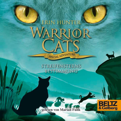 Hoerbuch Warrior Cats - Special Adventure. Streifensterns Bestimmung - Erin Hunter - Marian Funk