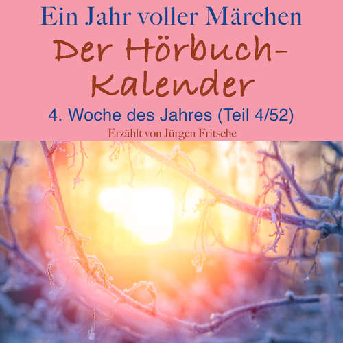 Hoerbuch Ein Jahr voller Märchen: Der Hörbuch-Kalender - Hans Christian Andersen - Jürgen Fritsche