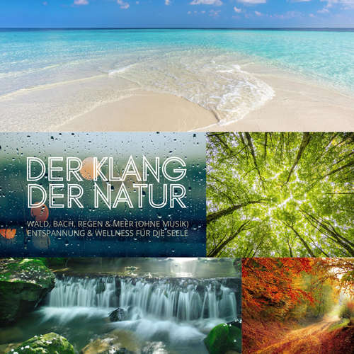 Hoerbuch Der Klang der Natur - Wald, Bach, Regen & Meer (ohne Musik) - XXL-Bundle - Digitales Archiv für Naturgeräusche - Digitales Archiv für Naturgeräusche
