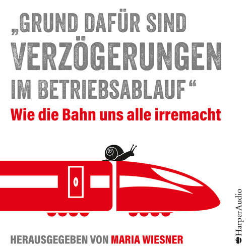 Hoerbuch "Grund dafür sind Verzögerungen im Betriebsablauf" - Maria Wiesner - Steffen Lehmann